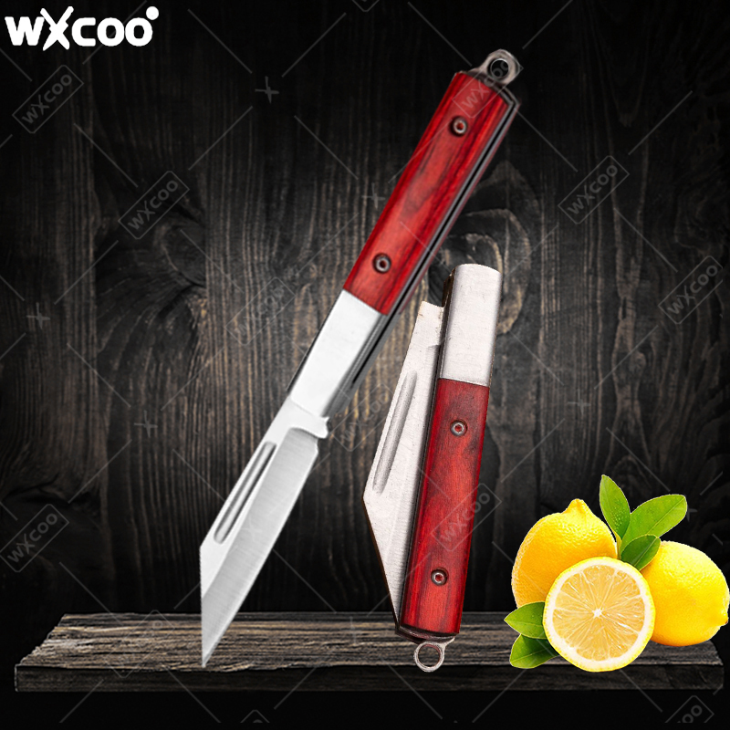 Kitchen Handy Gadgets - Coltello tascabile in acciaio inossidabile Manico
